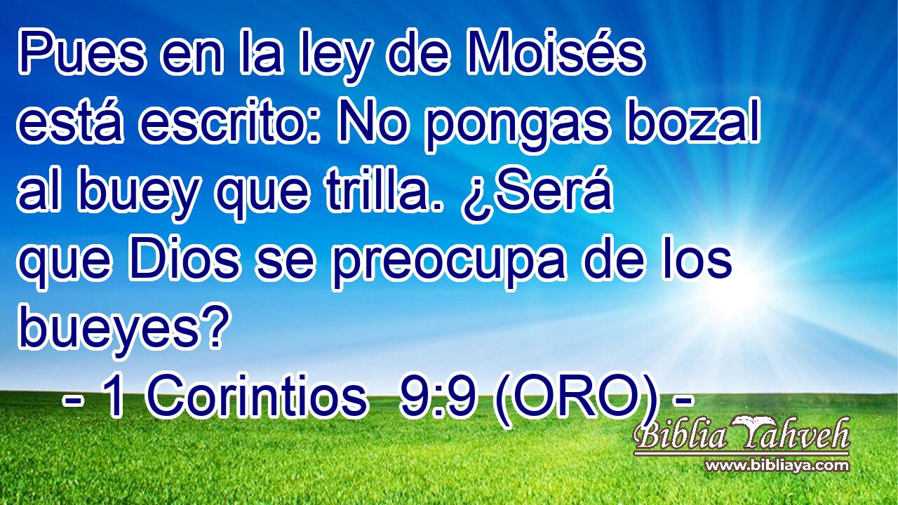  Pues en la ley de Moisés está escrito: No pongas bozal al buey que trilla. ¿Será que Dios se preocupa de los bueyes? 