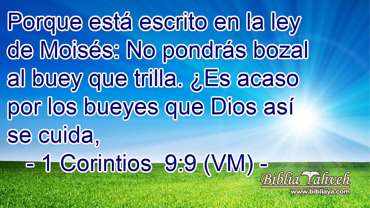  Porque está escrito en la ley de Moisés: No pondrás bozal al buey que trilla. ¿Es acaso por los bueyes que Dios así se cuida, 