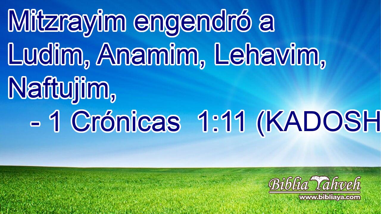  Mitzrayim engendró a Ludim, Anamim, Lehavim, Naftujim, 