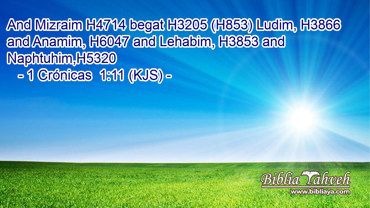 And Mizraim H4714 begat H3205 (H853) Ludim, H3866 and Anamim, H6047 and Lehabim, H3853 and Naphtuhim,H5320