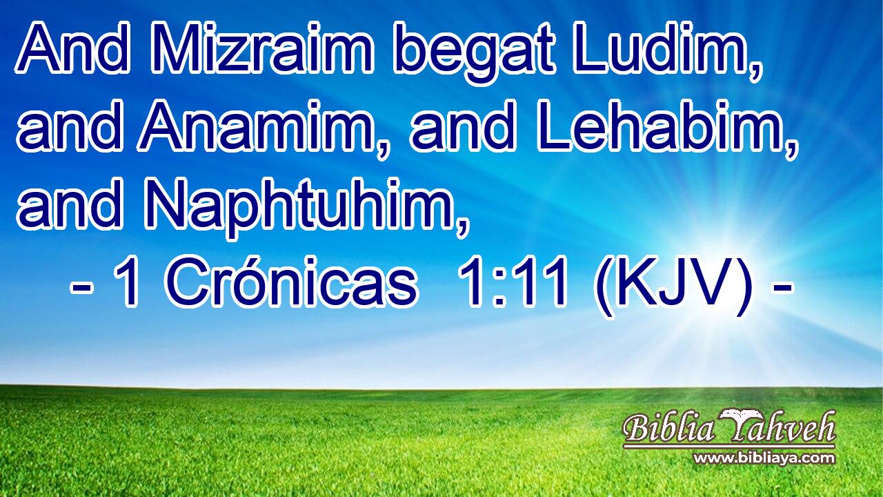 And Mizraim begat Ludim, and Anamim, and Lehabim, and Naphtuhim,