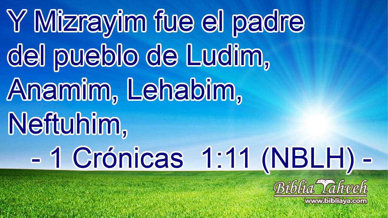  Y Mizrayim fue el padre del pueblo de Ludim, Anamim, Lehabim, Neftuhim, 