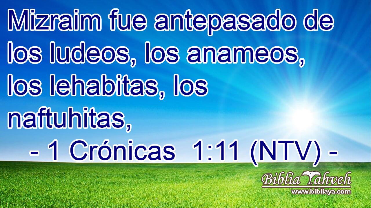 Mizraim fue antepasado de los ludeos, los anameos, los lehabitas, los naftuhitas,