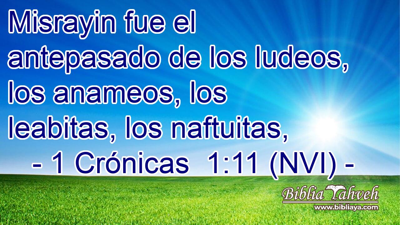  Misrayin fue el antepasado de los ludeos, los anameos, los leabitas, los naftuitas, 