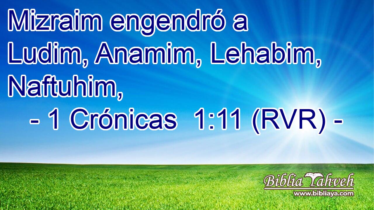 Mizraim engendró a Ludim, Anamim, Lehabim, Naftuhim,