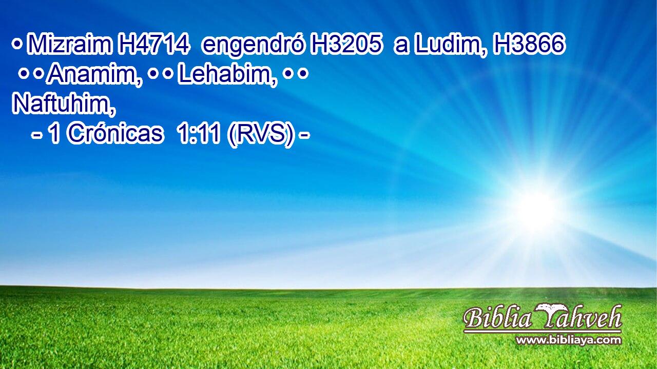 • Mizraim H4714  engendró H3205  a Ludim, H3866  • • Anamim, • • Lehabim, • • Naftuhim, 