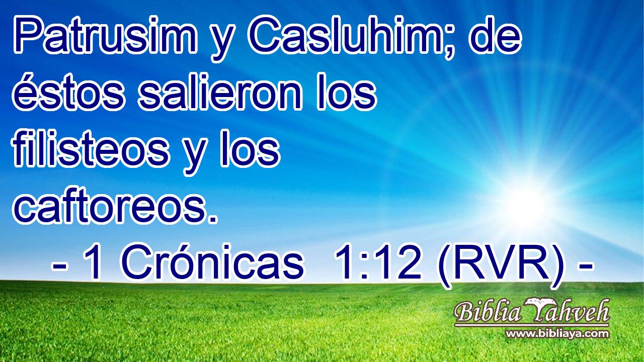Patrusim y Casluhim; de éstos salieron los filisteos y los caftoreos.