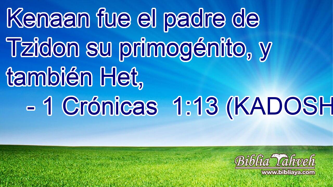  Kenaan fue el padre de Tzidon su primogénito, y también Het, 