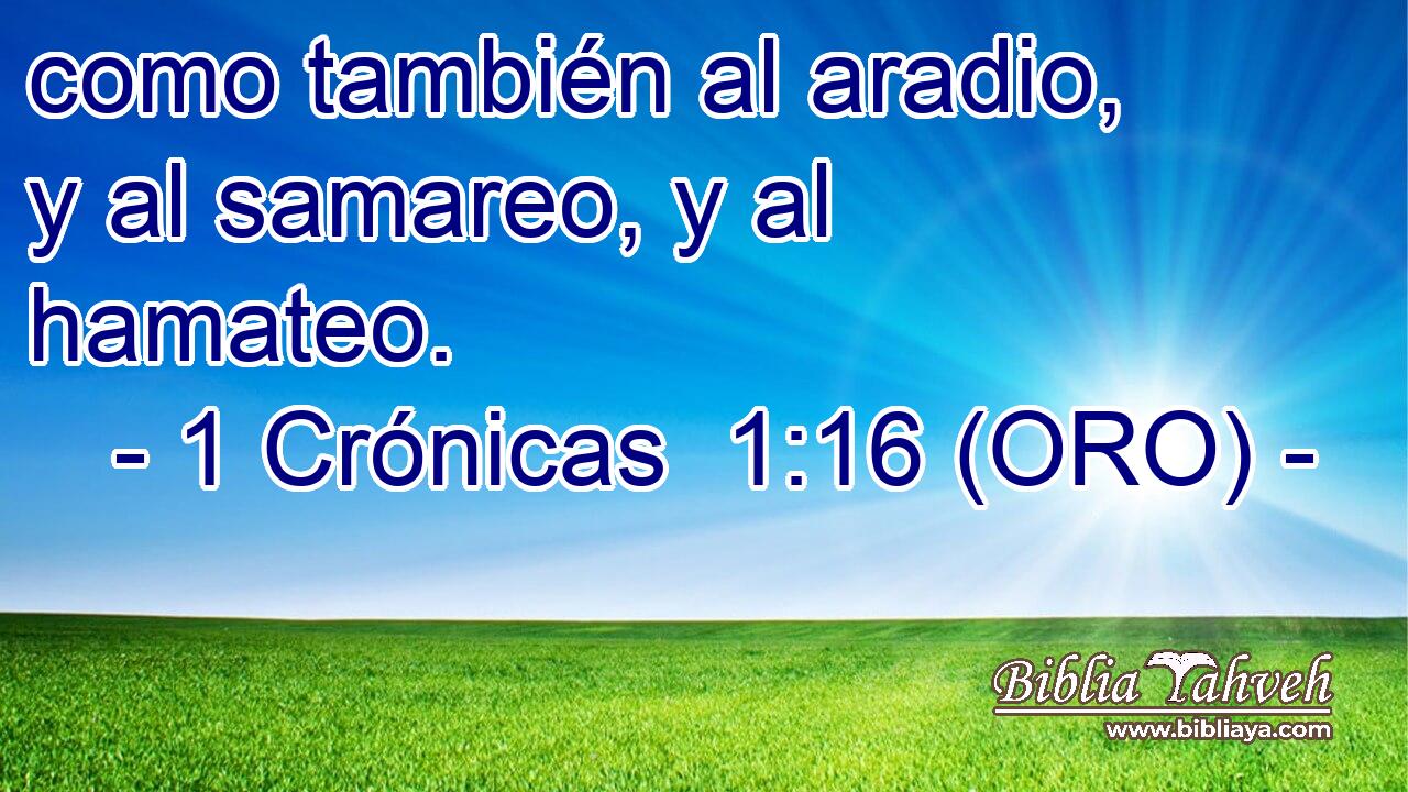  como también al aradio, y al samareo, y al hamateo. 