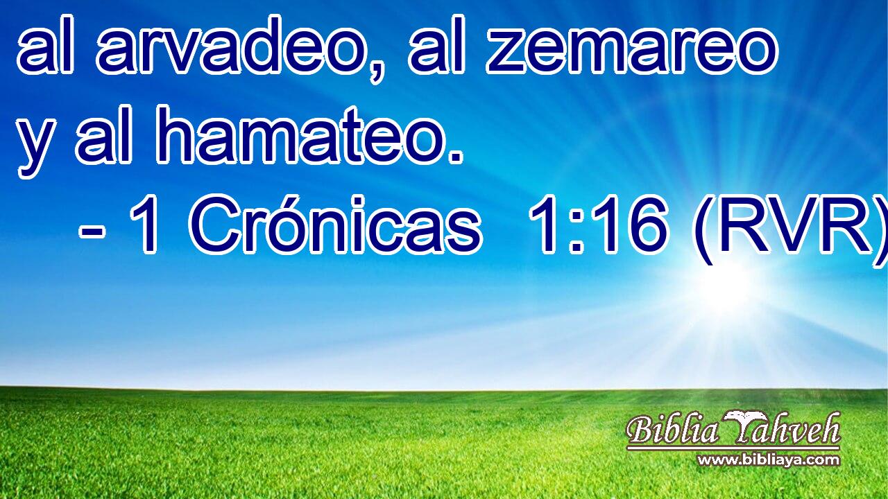 al arvadeo, al zemareo y al hamateo.