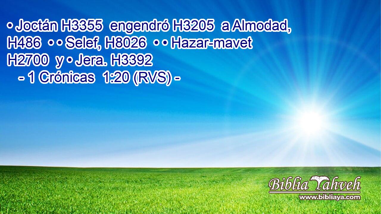 • Joctán H3355  engendró H3205  a Almodad, H486  • • Selef, H8026  • • Hazar-mavet H2700  y • Jera. H3392  