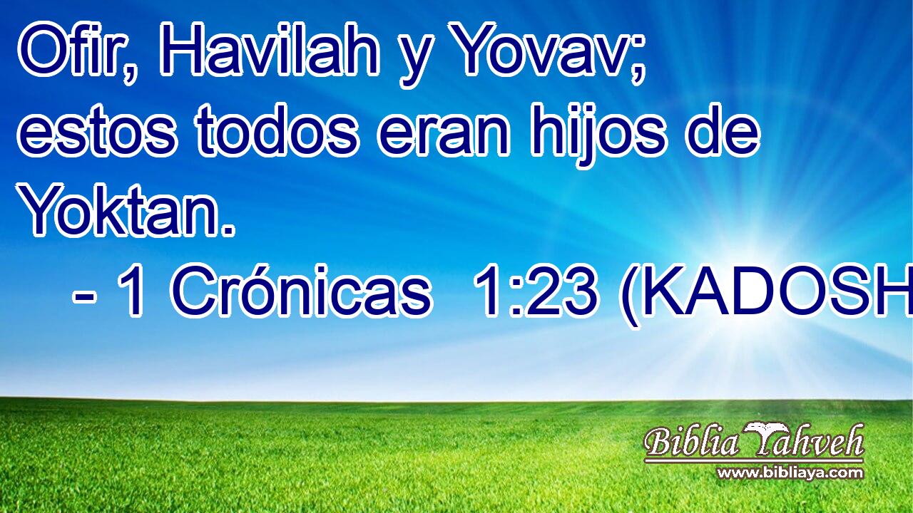  Ofir, Havilah y Yovav; estos todos eran hijos de Yoktan. 