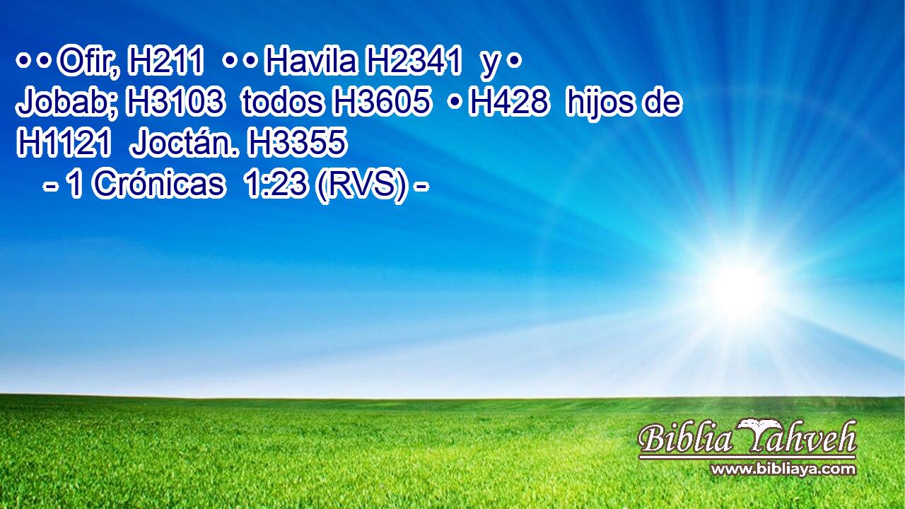 • • Ofir, H211  • • Havila H2341  y • Jobab; H3103  todos H3605  • H428  hijos de H1121  Joctán. H3355  
