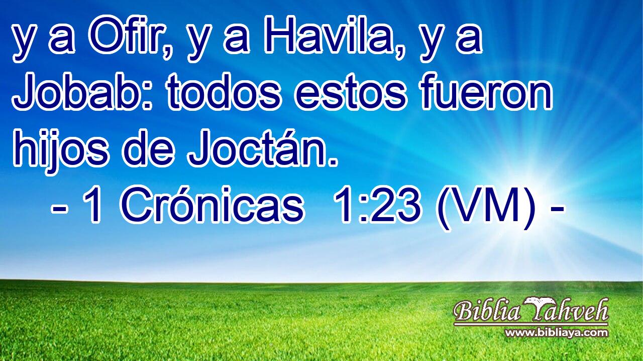  y a Ofir, y a Havila, y a Jobab: todos estos fueron hijos de Joctán. 