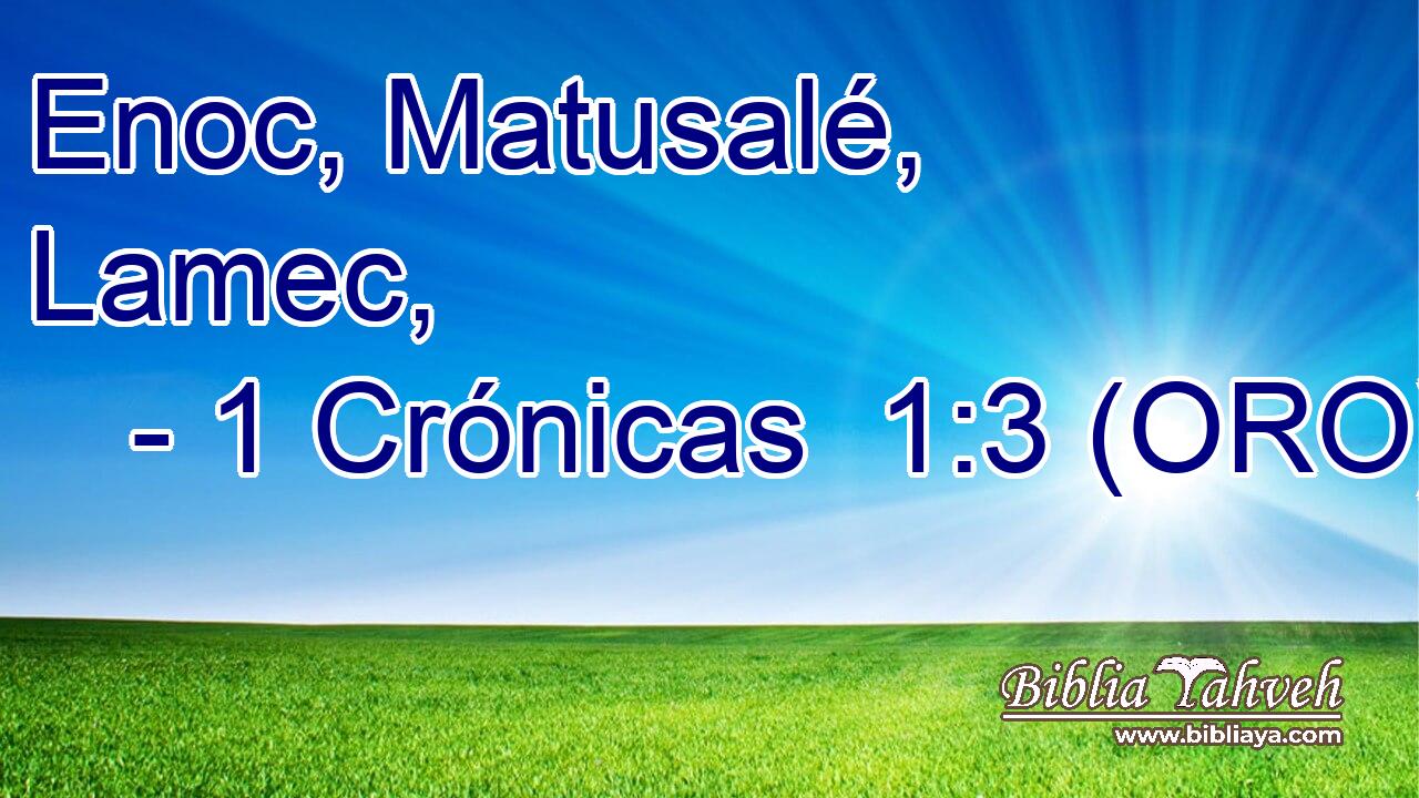  Enoc, Matusalé, Lamec, 