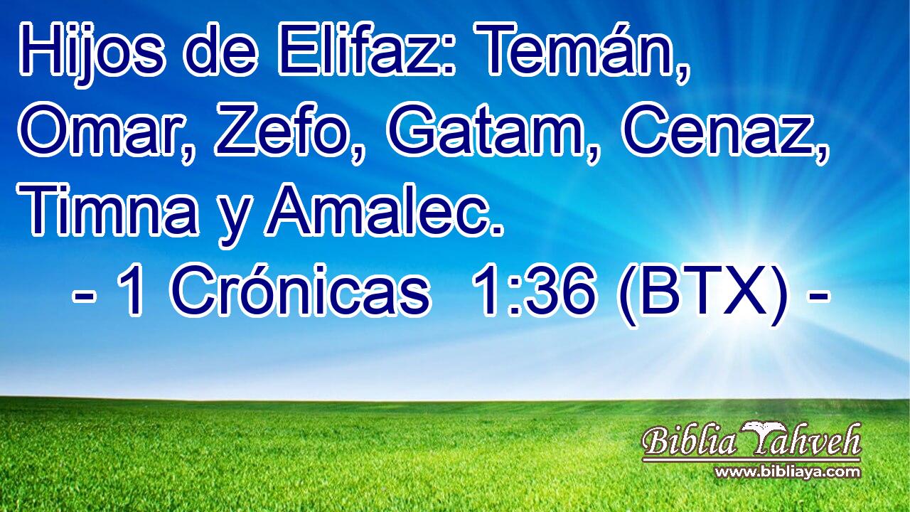 Hijos de Elifaz: Temán, Omar, Zefo, Gatam, Cenaz, Timna y Amalec.