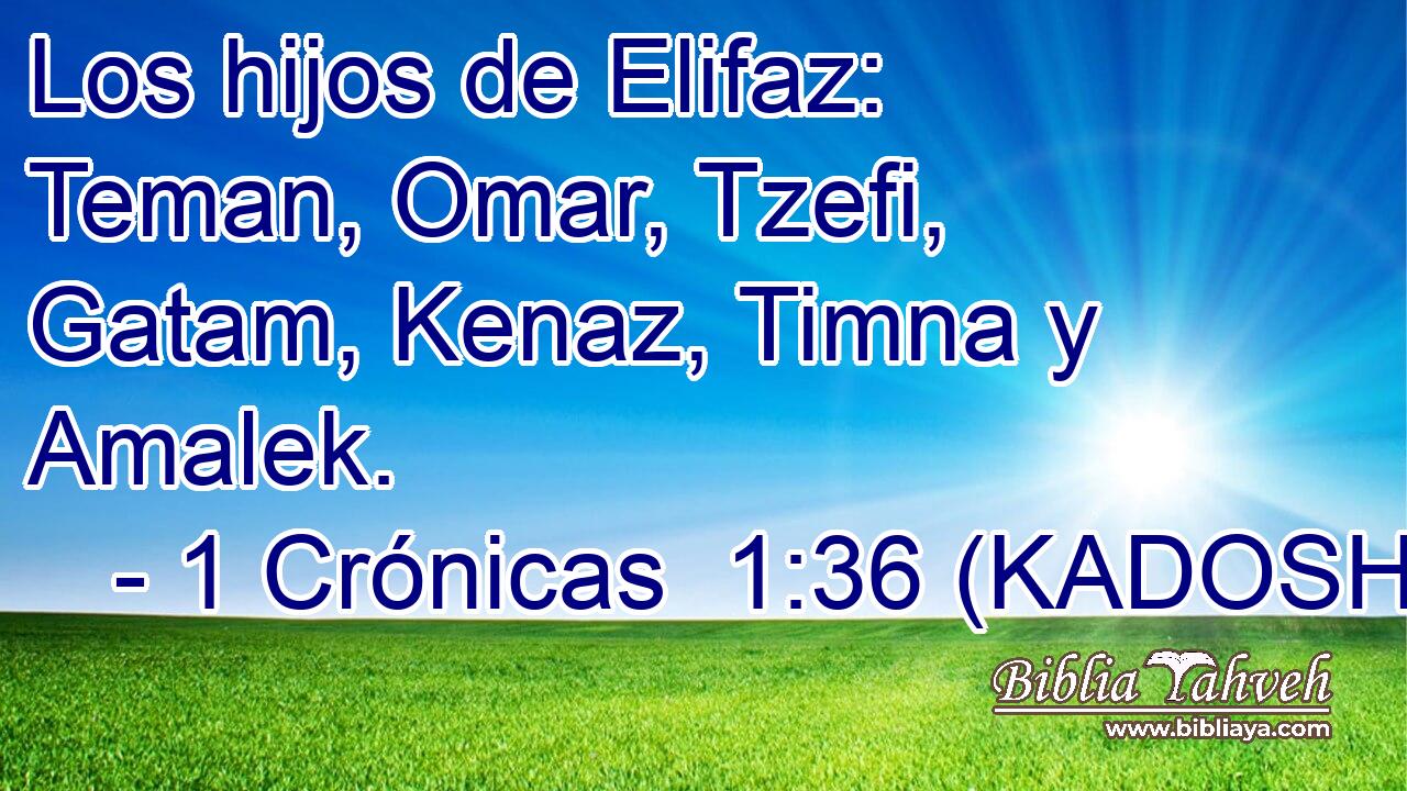  Los hijos de Elifaz: Teman, Omar, Tzefi, Gatam, Kenaz, Timna y Amalek. 