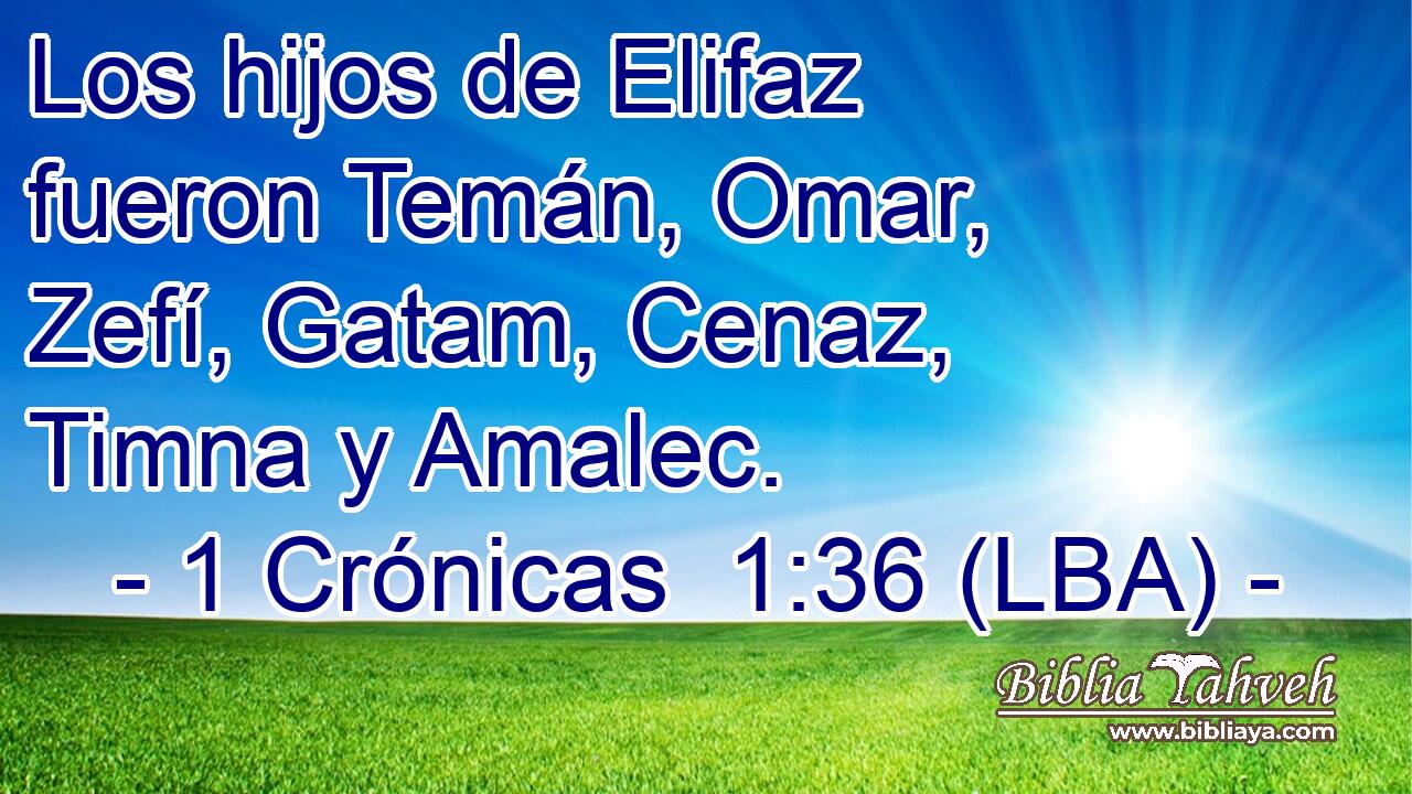 Los hijos de Elifaz fueron Temán, Omar, Zefí, Gatam, Cenaz, Timna y Amalec.