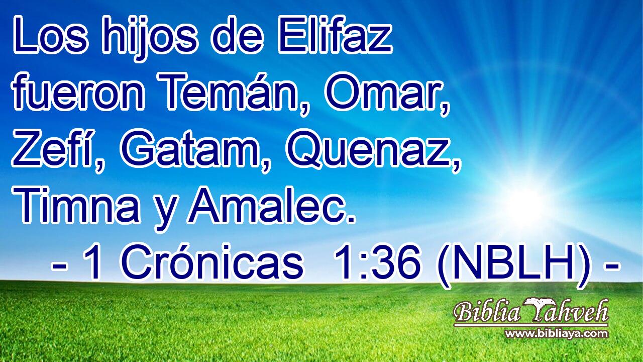  Los hijos de Elifaz fueron Temán, Omar, Zefí, Gatam, Quenaz, Timna y Amalec. 