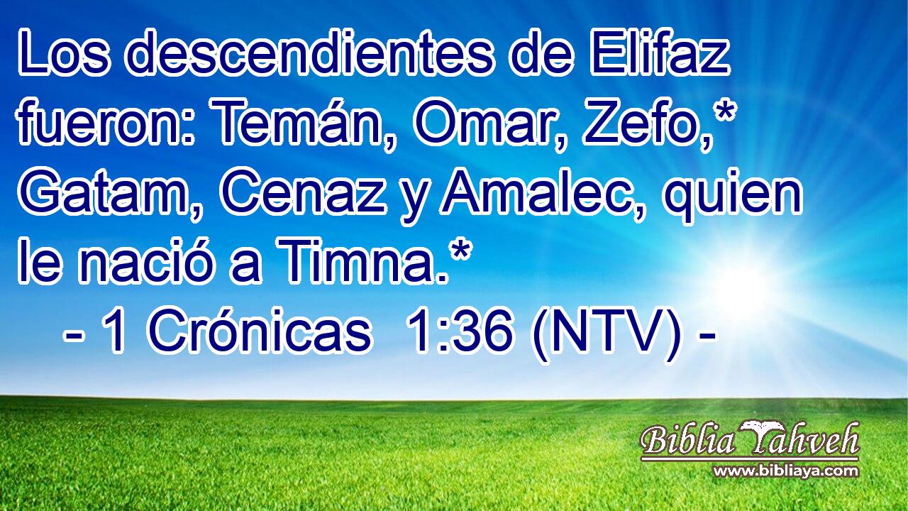 Los descendientes de Elifaz fueron: Temán, Omar, Zefo,* Gatam, Cenaz y Amalec, quien le nació a Timna.*
