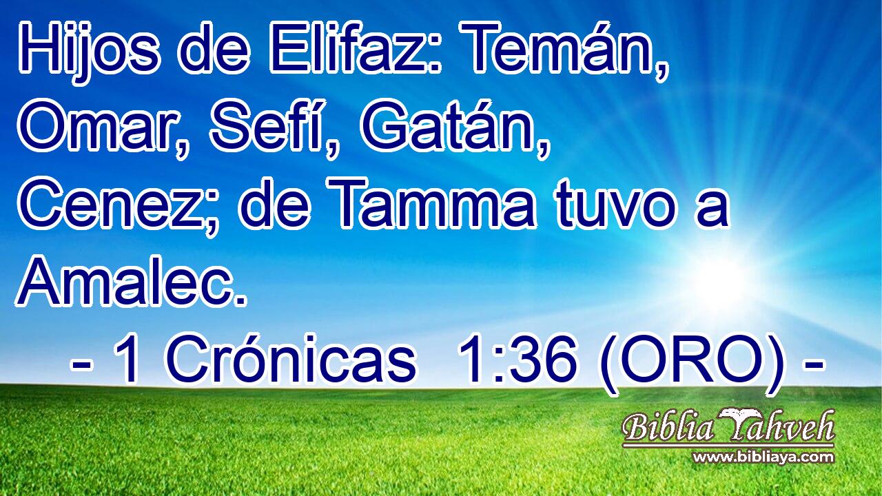  Hijos de Elifaz: Temán, Omar, Sefí, Gatán, Cenez; de Tamma tuvo a Amalec. 