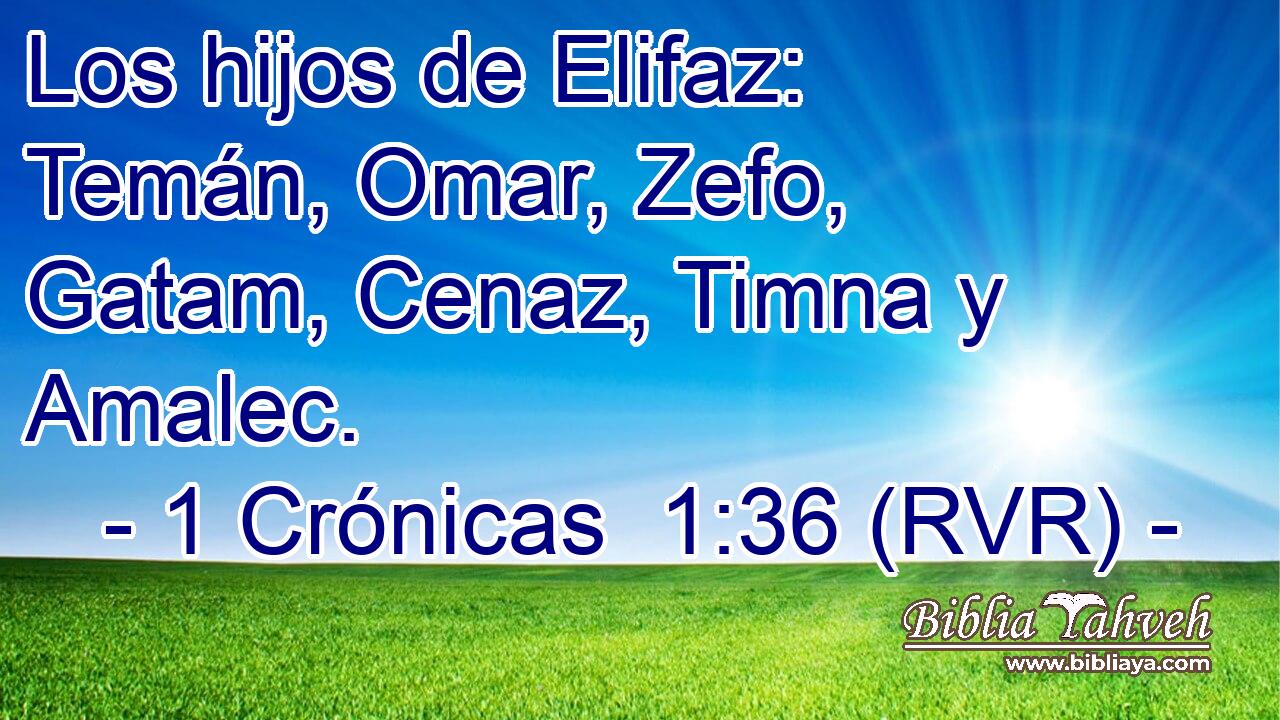 Los hijos de Elifaz: Temán, Omar, Zefo, Gatam, Cenaz, Timna y Amalec.