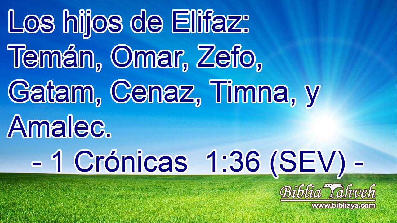 Los hijos de Elifaz: Temán, Omar, Zefo, Gatam, Cenaz, Timna, y Amalec.