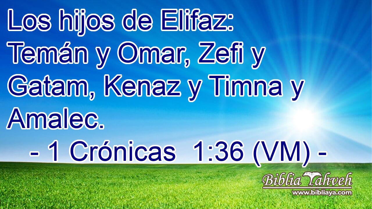  Los hijos de Elifaz: Temán y Omar, Zefi y Gatam, Kenaz y Timna y Amalec. 