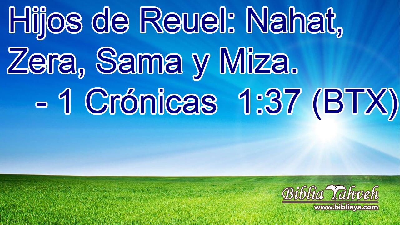 Hijos de Reuel: Nahat, Zera, Sama y Miza.
