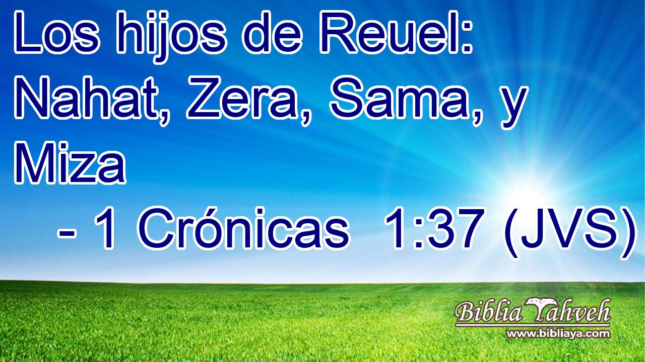 Los hijos de Reuel: Nahat, Zera, Sama, y Miza