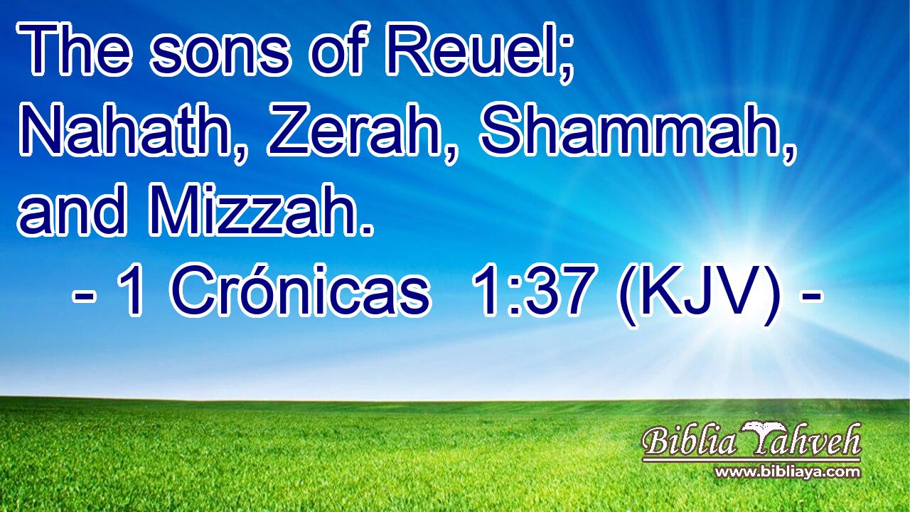 The sons of Reuel; Nahath, Zerah, Shammah, and Mizzah.