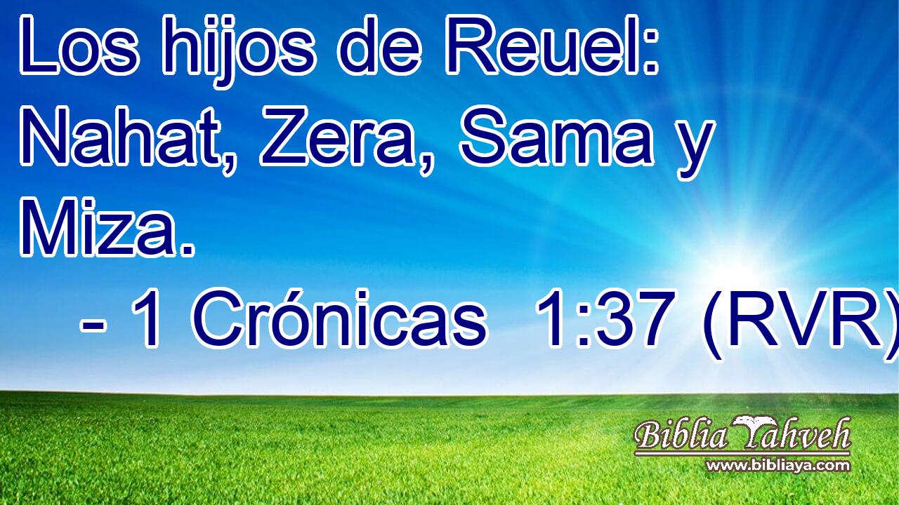 Los hijos de Reuel: Nahat, Zera, Sama y Miza.