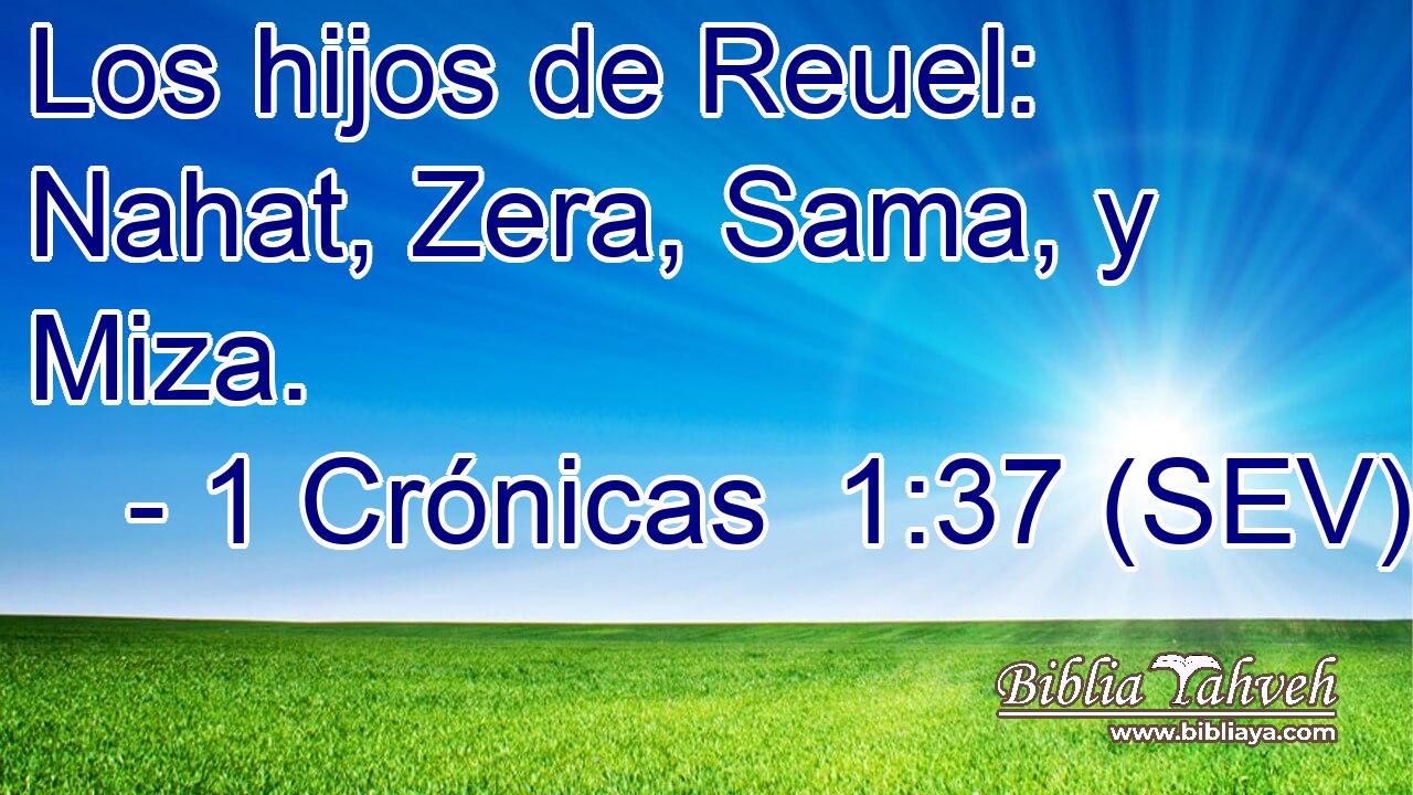 Los hijos de Reuel: Nahat, Zera, Sama, y Miza.