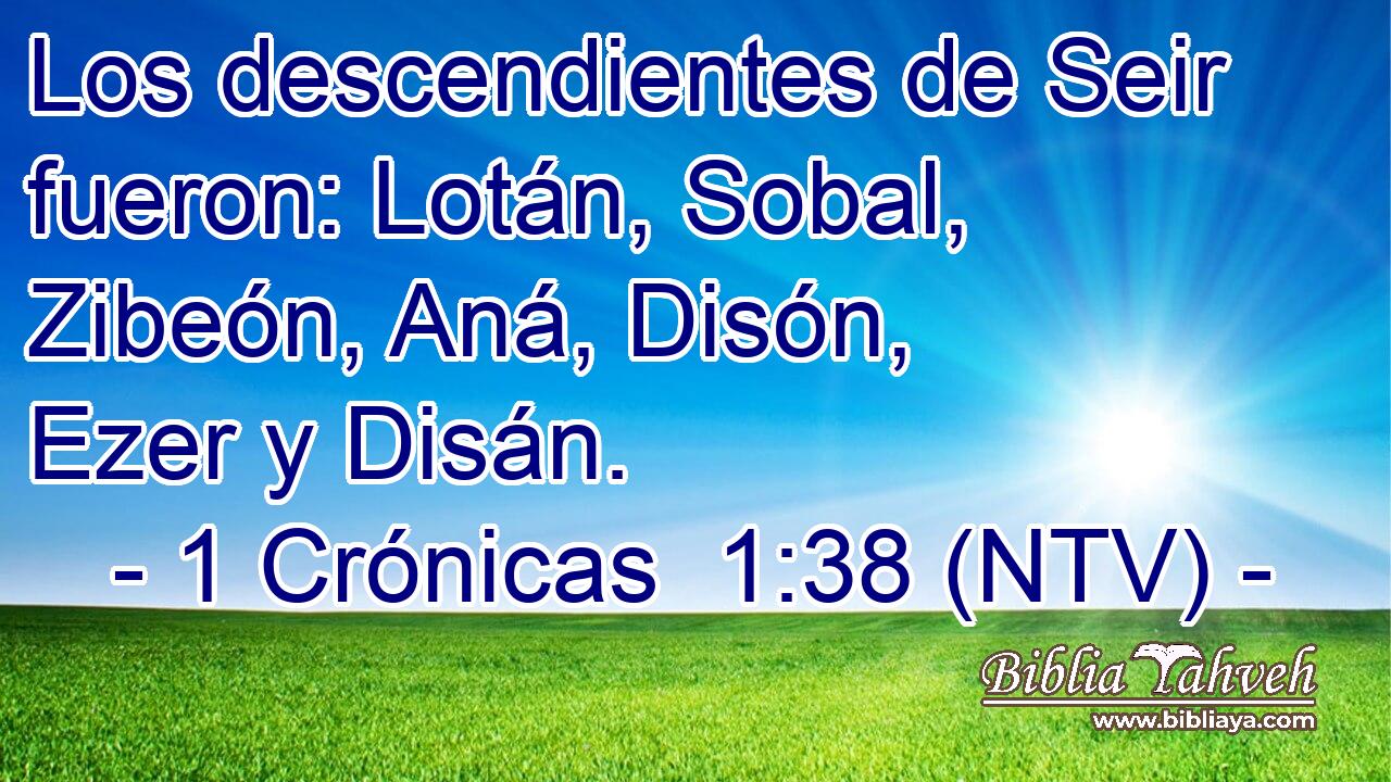Los descendientes de Seir fueron: Lotán, Sobal, Zibeón, Aná, Disón, Ezer y Disán.