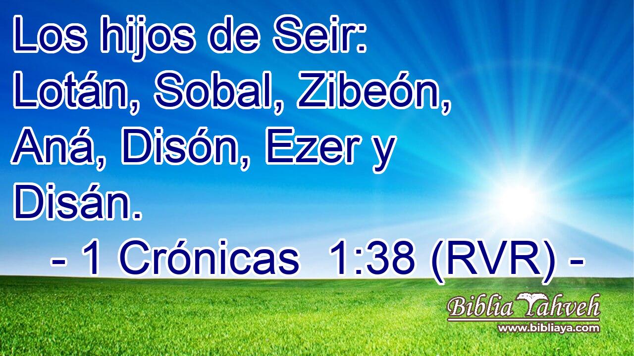 Los hijos de Seir: Lotán, Sobal, Zibeón, Aná, Disón, Ezer y Disán.