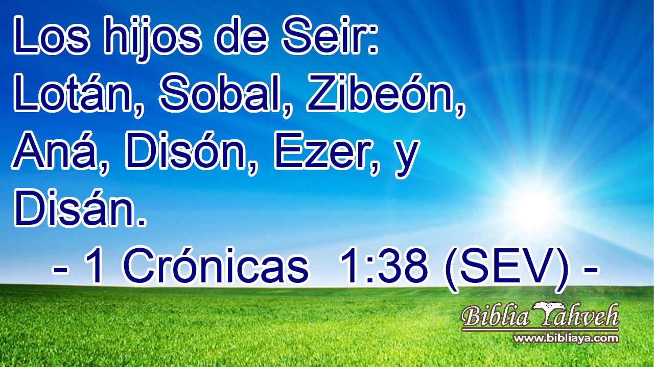 Los hijos de Seir: Lotán, Sobal, Zibeón, Aná, Disón, Ezer, y Disán.