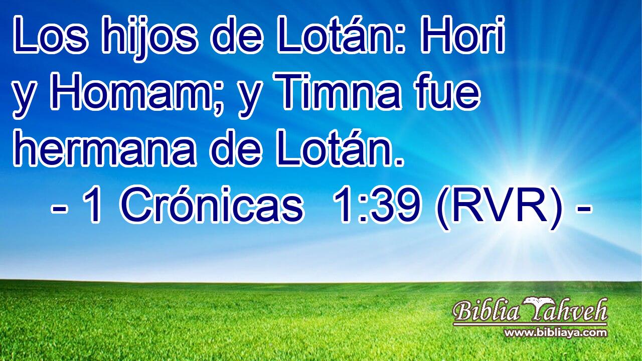 Los hijos de Lotán: Hori y Homam; y Timna fue hermana de Lotán.