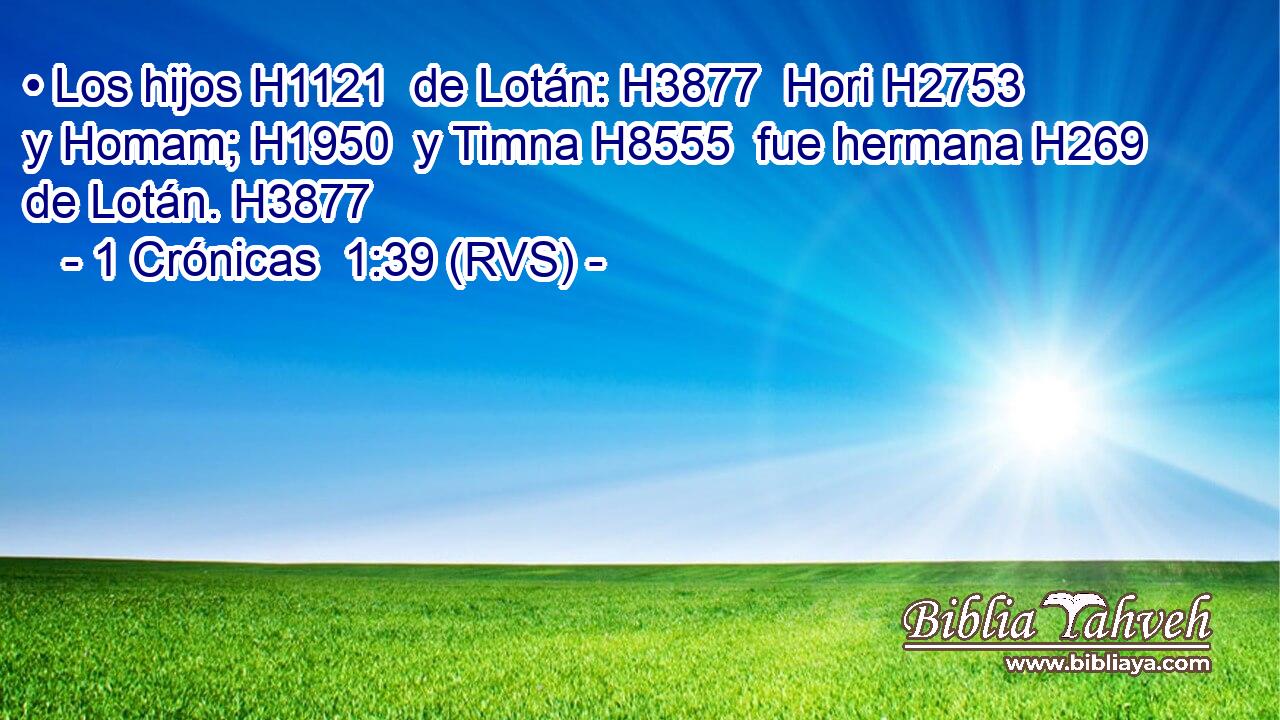 • Los hijos H1121  de Lotán: H3877  Hori H2753  y Homam; H1950  y Timna H8555  fue hermana H269  de Lotán. H3877  