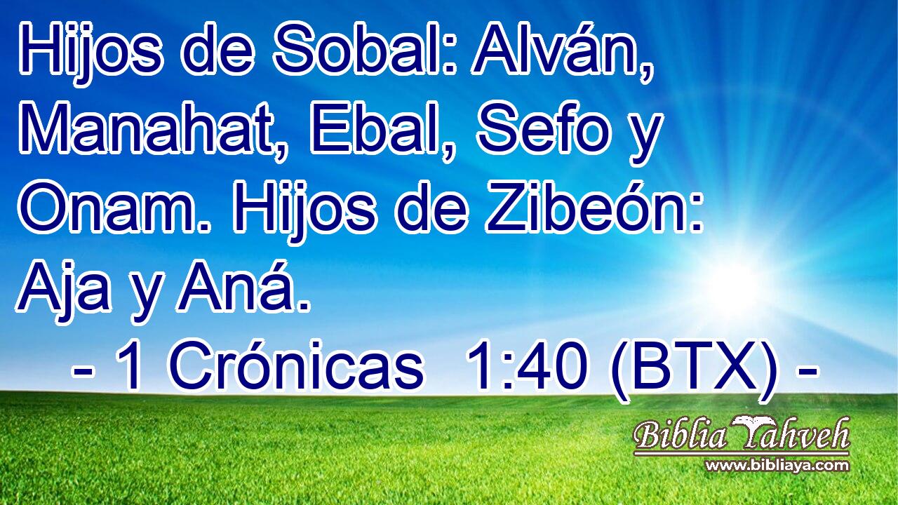 Hijos de Sobal: Alván, Manahat, Ebal, Sefo y Onam. Hijos de Zibeón: Aja y Aná.
