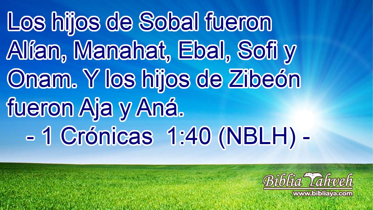  Los hijos de Sobal fueron Alían, Manahat, Ebal, Sofi y Onam. Y los hijos de Zibeón fueron Aja y Aná. 