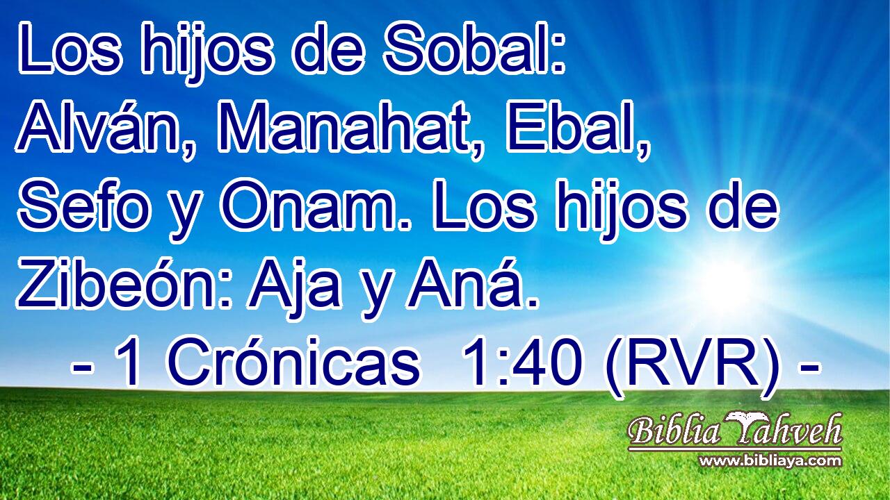 Los hijos de Sobal: Alván, Manahat, Ebal, Sefo y Onam. Los hijos de Zibeón: Aja y Aná.