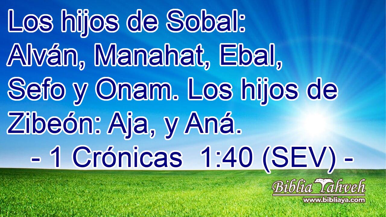 Los hijos de Sobal: Alván, Manahat, Ebal, Sefo y Onam. Los hijos de Zibeón: Aja, y Aná.