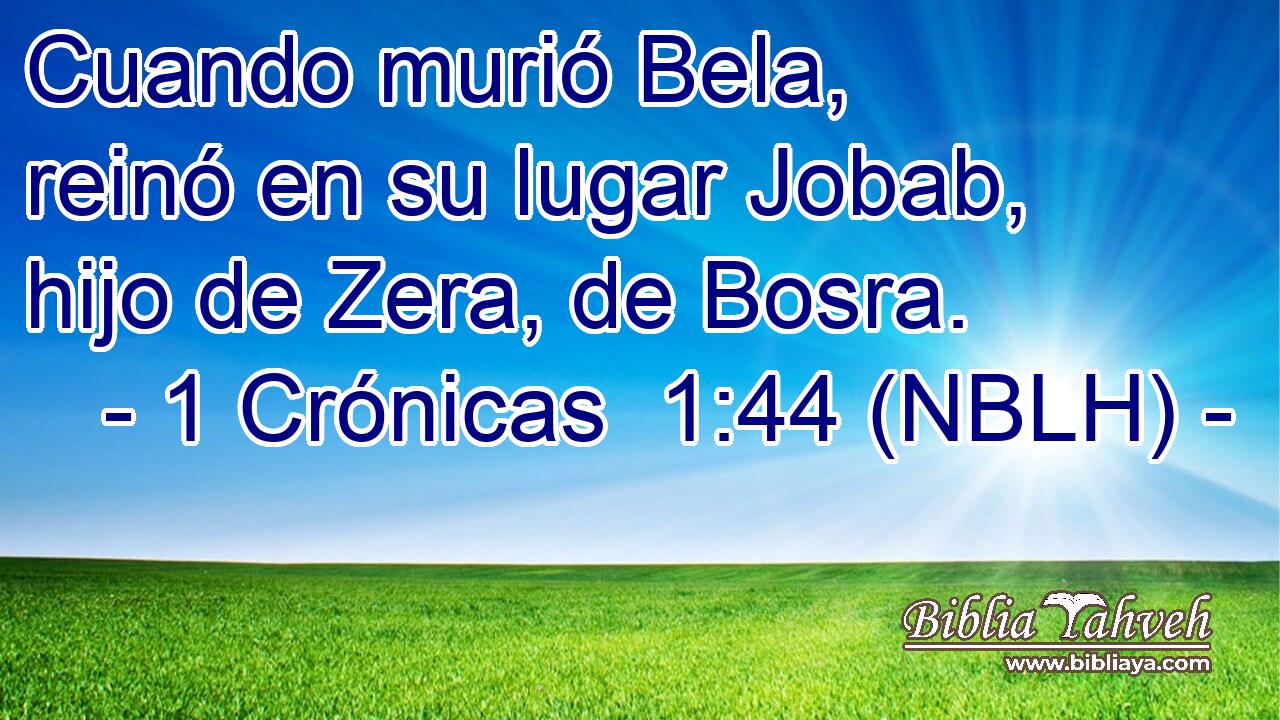  Cuando murió Bela, reinó en su lugar Jobab, hijo de Zera, de Bosra. 