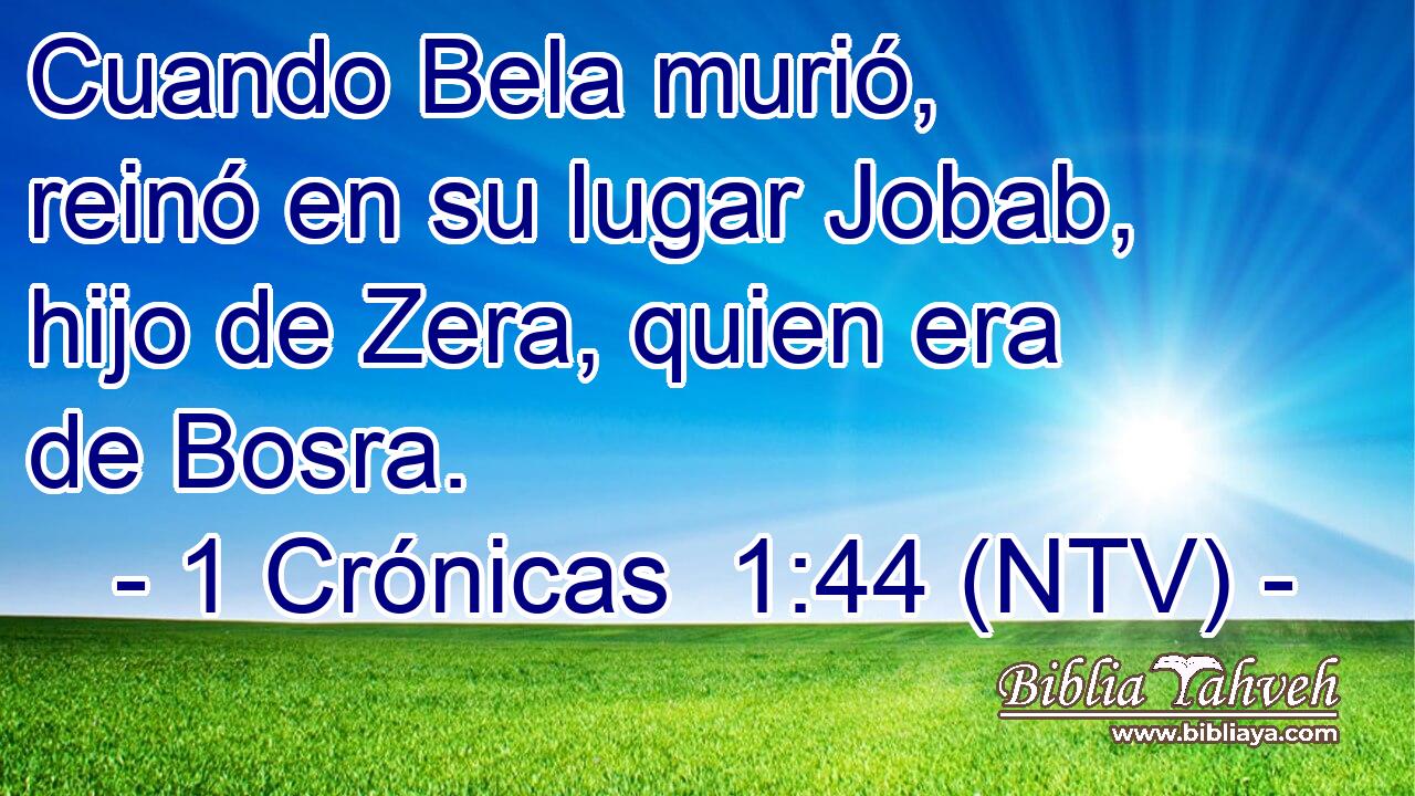 Cuando Bela murió, reinó en su lugar Jobab, hijo de Zera, quien era de Bosra.