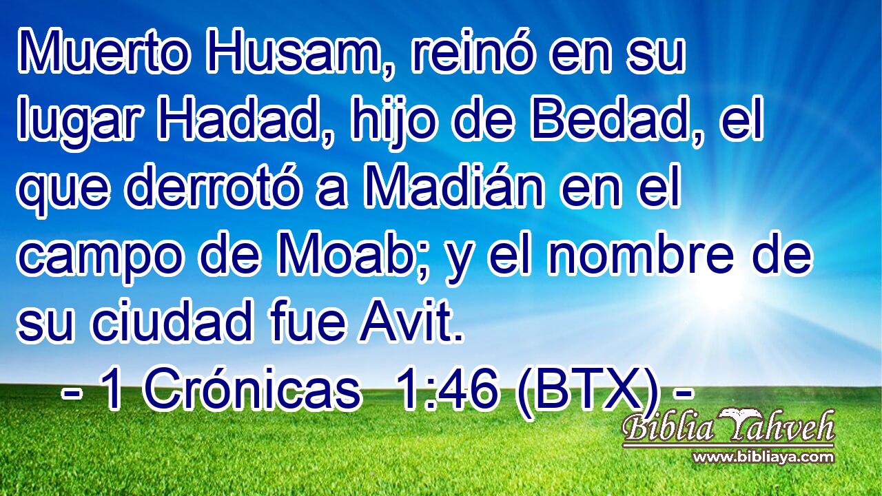 Muerto Husam, reinó en su lugar Hadad, hijo de Bedad, el que derrotó a Madián en el campo de Moab; y el nombre de su ciudad fue Avit.
