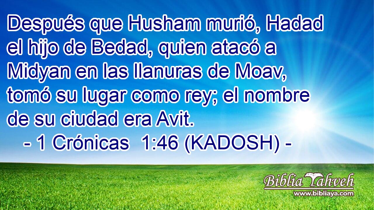  Después que Husham murió, Hadad el hijo de Bedad, quien atacó a Midyan en las llanuras de Moav, tomó su lugar como rey; el nombre de su ciudad era Avit. 