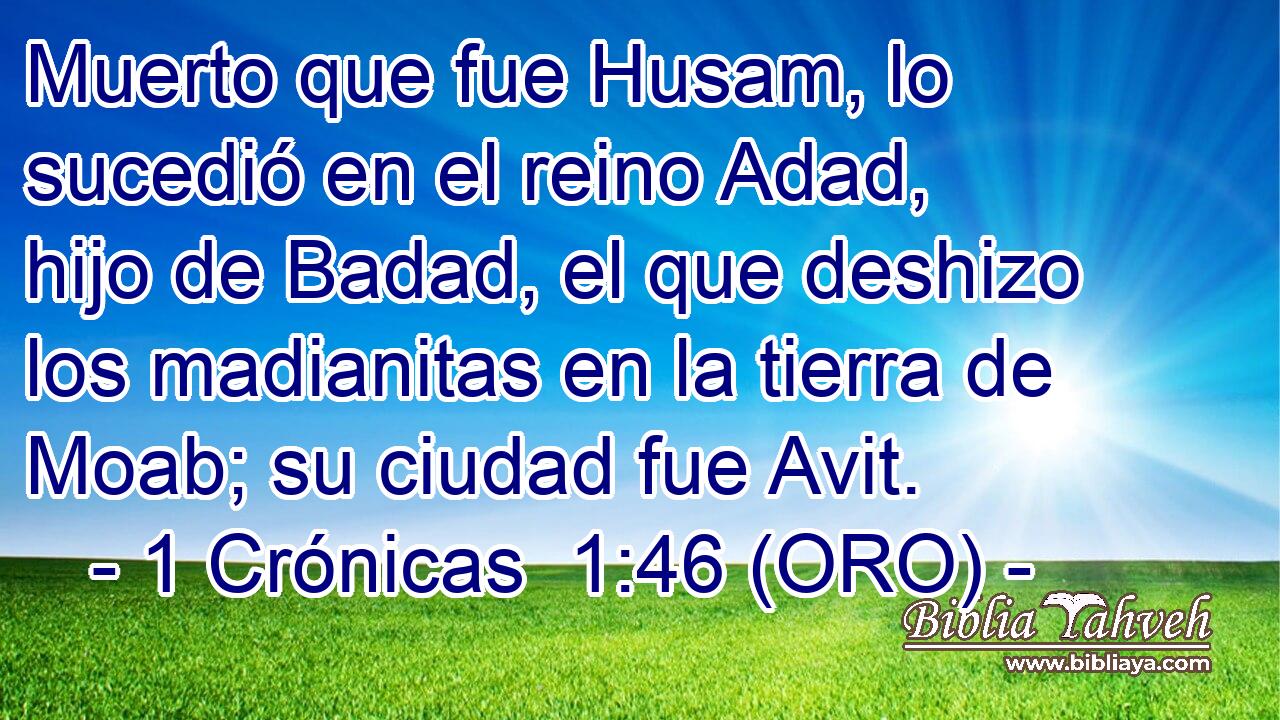 Muerto que fue Husam, lo sucedió en el reino Adad, hijo de Badad, el que deshizo los madianitas en la tierra de Moab; su ciudad fue Avit. 