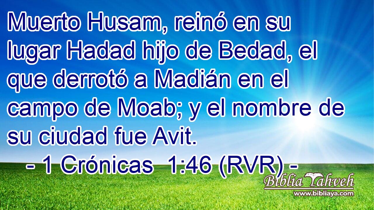 Muerto Husam, reinó en su lugar Hadad hijo de Bedad, el que derrotó a Madián en el campo de Moab; y el nombre de su ciudad fue Avit.
