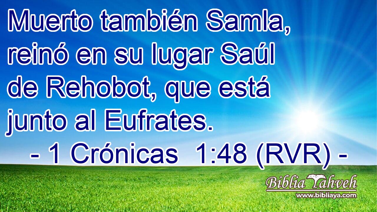 Muerto también Samla, reinó en su lugar Saúl de Rehobot, que está junto al Eufrates.