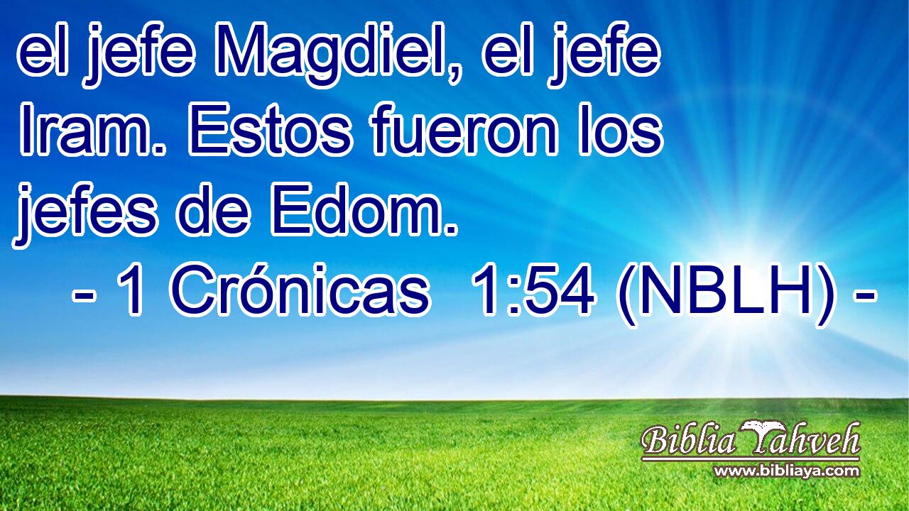  el jefe Magdiel, el jefe Iram. Estos fueron los jefes de Edom. 